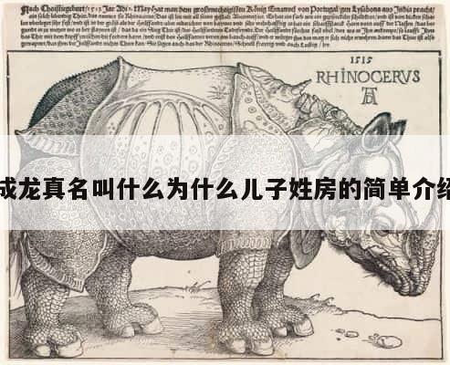 成龙真名叫什么为什么儿子姓房的简单介绍 第1张