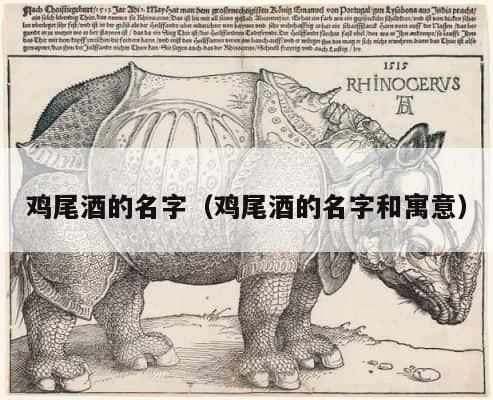 鸡尾酒的名字（鸡尾酒的名字和寓意） 第1张