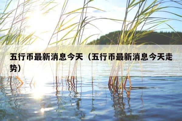 五行币最新消息今天（五行币最新消息今天走势） 第1张