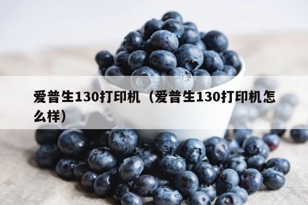 爱普生130打印机（爱普生130打印机怎么样） 第1张