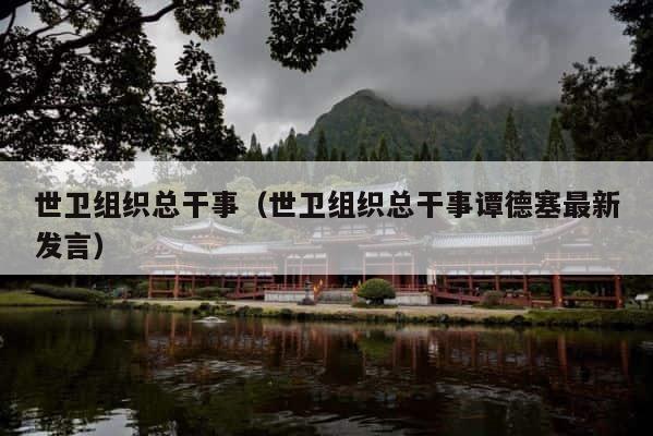 世卫组织总干事（世卫组织总干事谭德塞最新发言） 第1张