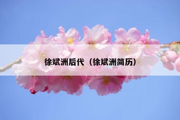 徐斌洲后代（徐斌洲简历） 第1张