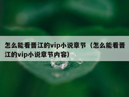怎么能看晋江的vip小说章节（怎么能看晋江的vip小说章节内容） 第1张
