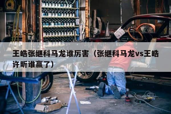 王皓张继科马龙谁厉害（张继科马龙vs王皓许昕谁赢了） 第1张