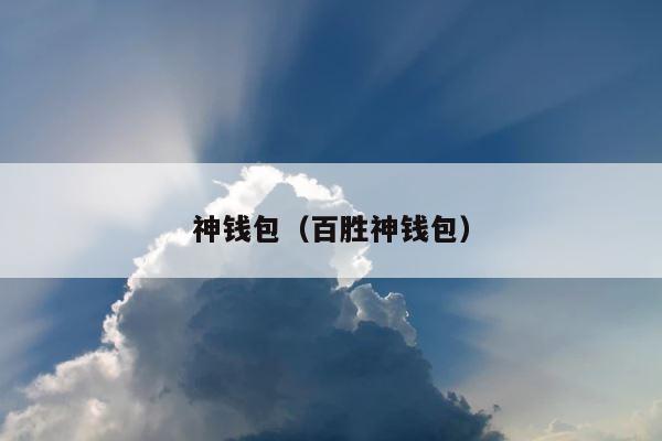 神钱包（百胜神钱包） 第1张