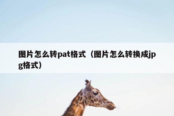 图片怎么转pat格式（图片怎么转换成jpg格式） 第1张