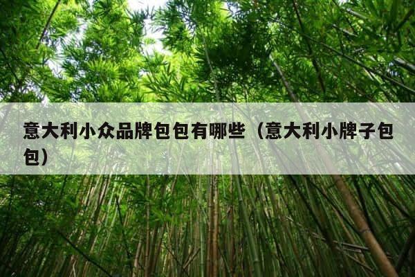 意大利小众品牌包包有哪些（意大利小牌子包包） 第1张