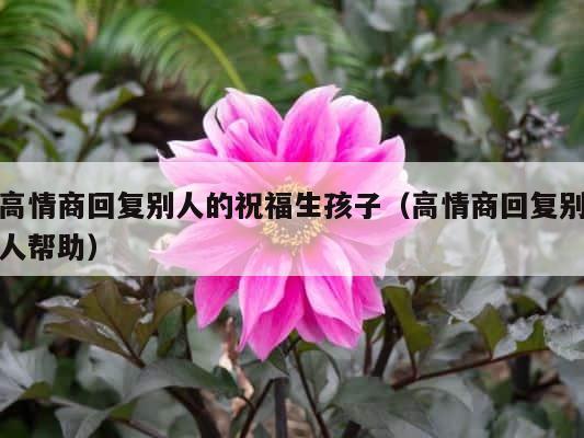 高情商回复别人的祝福生孩子（高情商回复别人帮助） 第1张