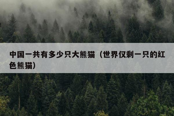 中国一共有多少只大熊猫（世界仅剩一只的红色熊猫） 第1张