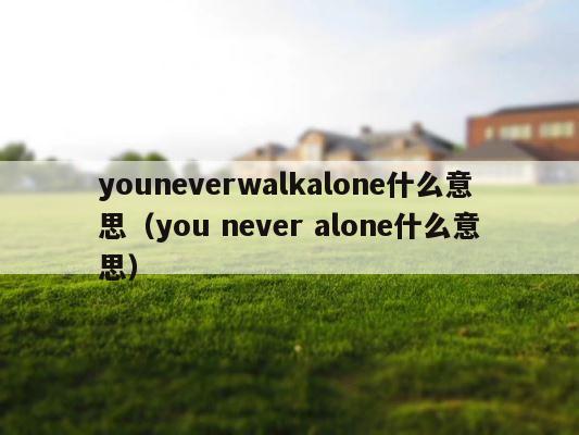 youneverwalkalone什么意思（you never alone什么意思） 第1张