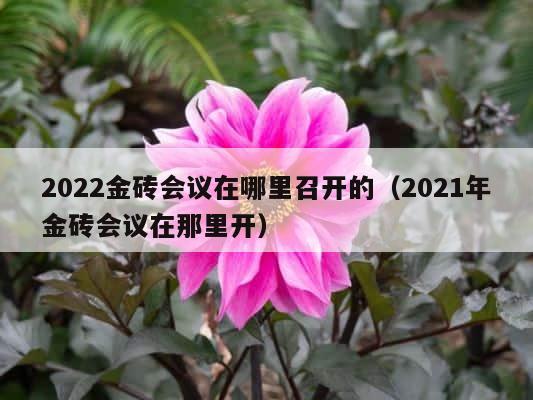2022金砖会议在哪里召开的（2021年金砖会议在那里开） 第1张
