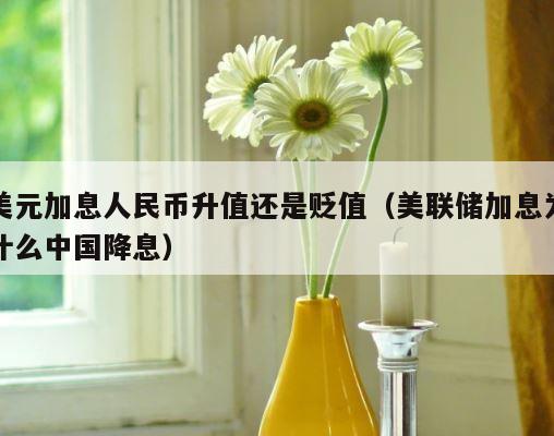 美元加息人民币升值还是贬值（美联储加息为什么中国降息） 第1张
