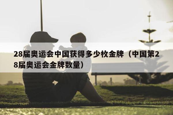 28届奥运会中国获得多少枚金牌（中国第28届奥运会金牌数量） 第1张