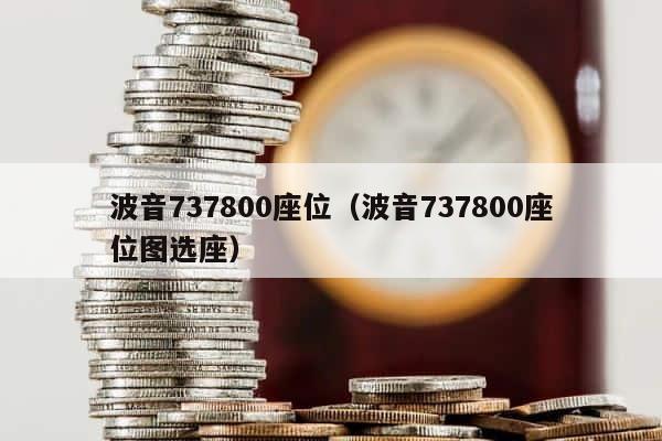 波音737800座位（波音737800座位图选座） 第1张