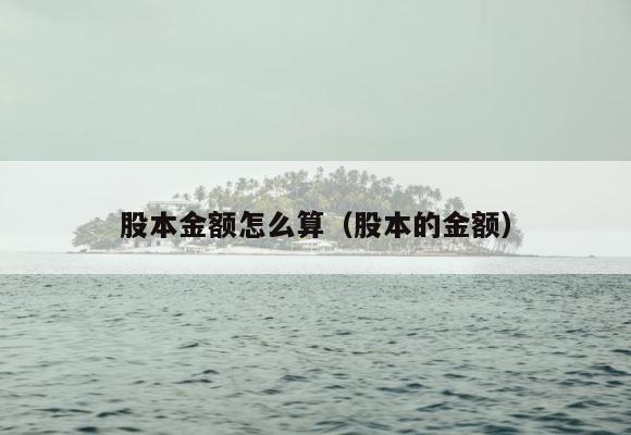 股本金额怎么算（股本的金额） 第1张