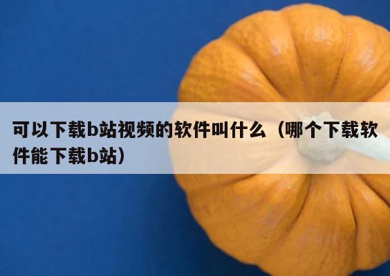 可以下载b站视频的软件叫什么（哪个下载软件能下载b站） 第1张