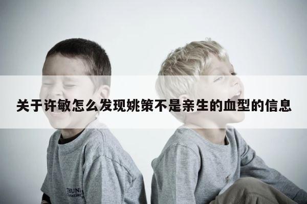 关于许敏怎么发现姚策不是亲生的血型的信息 第1张