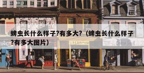 蜱虫长什么样子?有多大?（蜱虫长什么样子?有多大图片） 第1张