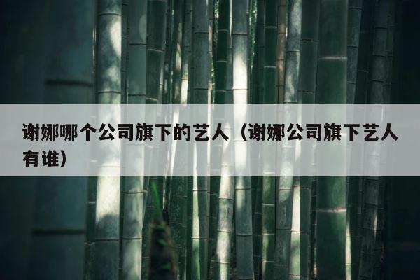 谢娜哪个公司旗下的艺人（谢娜公司旗下艺人有谁） 第1张