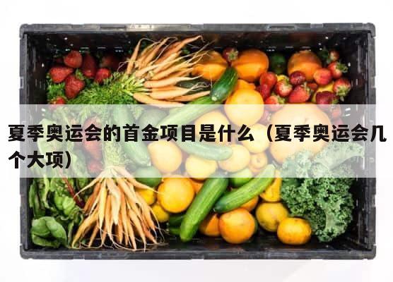 夏季奥运会的首金项目是什么（夏季奥运会几个大项） 第1张