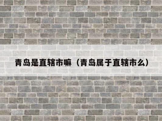 青岛是直辖市嘛（青岛属于直辖市么） 第1张