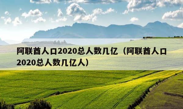 阿联酋人口2020总人数几亿（阿联酋人口2020总人数几亿人） 第1张