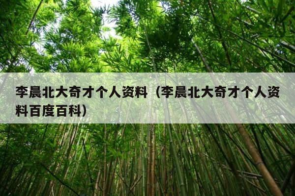 李晨北大奇才个人资料（李晨北大奇才个人资料百度百科） 第1张