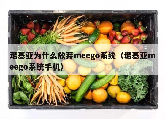 诺基亚为什么放弃meego系统（诺基亚meego系统手机） 第1张