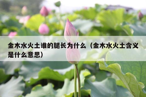 金木水火土谁的腿长为什么（金木水火土含义是什么意思） 第1张