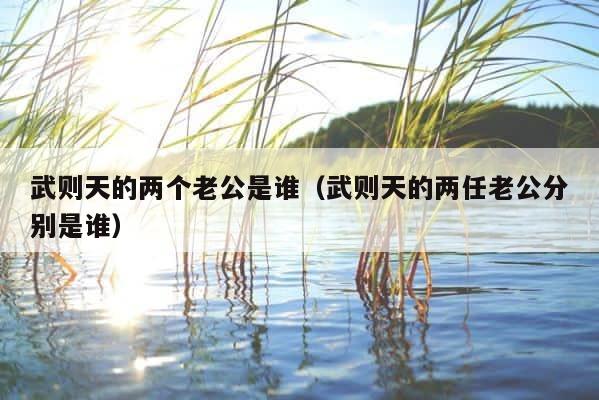 武则天的两个老公是谁（武则天的两任老公分别是谁） 第1张