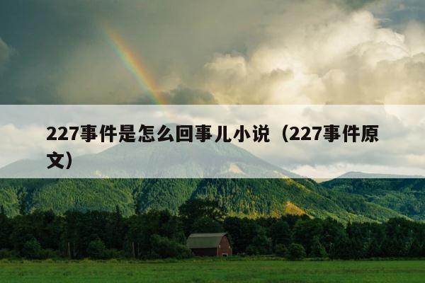 227事件是怎么回事儿小说（227事件原文） 第1张