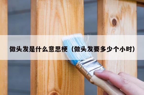 做头发是什么意思梗（做头发要多少个小时） 第1张