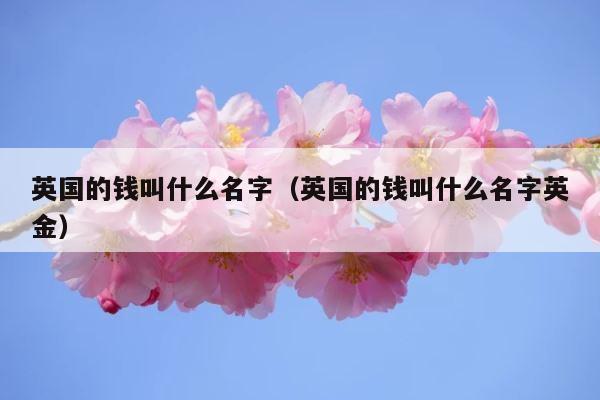 英国的钱叫什么名字（英国的钱叫什么名字英金） 第1张