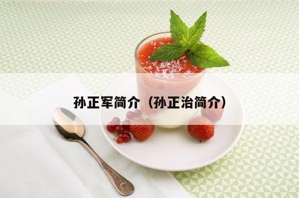孙正军简介（孙正治简介） 第1张