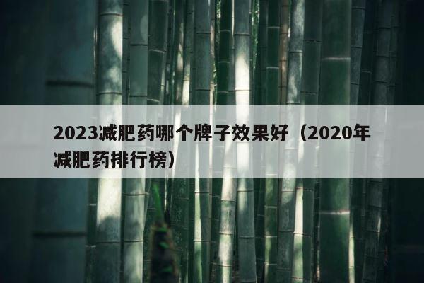2023减肥药哪个牌子效果好（2020年减肥药排行榜） 第1张