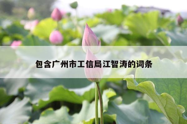 包含广州市工信局江智涛的词条 第1张