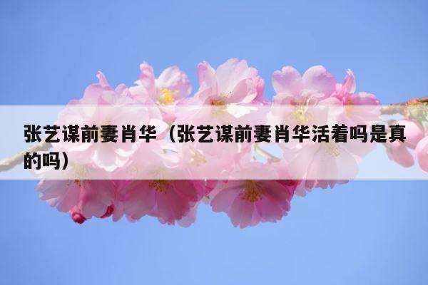 张艺谋前妻肖华（张艺谋前妻肖华活着吗是真的吗） 第1张