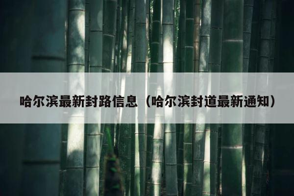 哈尔滨最新封路信息（哈尔滨封道最新通知） 第1张