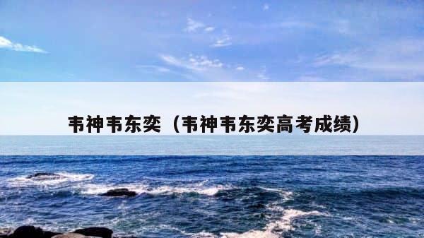 韦神韦东奕（韦神韦东奕高考成绩） 第1张