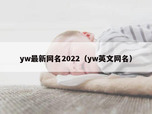yw最新网名2022（yw英文网名） 第1张