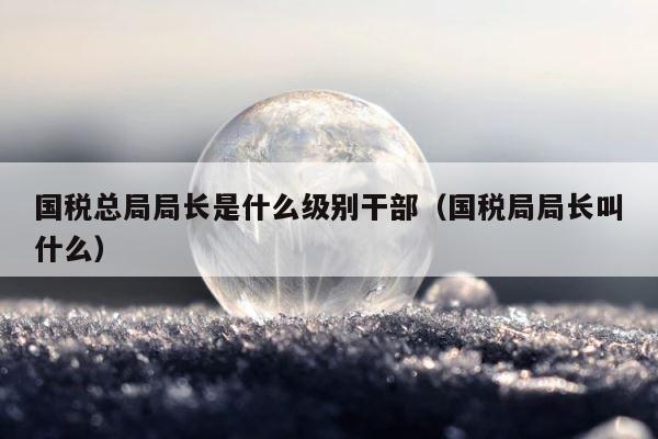 国税总局局长是什么级别干部（国税局局长叫什么） 第1张