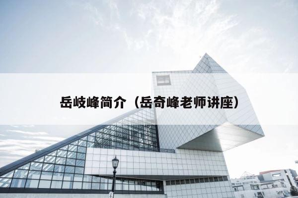 岳岐峰简介（岳奇峰老师讲座） 第1张