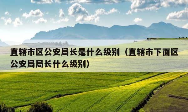 直辖市区公安局长是什么级别（直辖市下面区公安局局长什么级别） 第1张