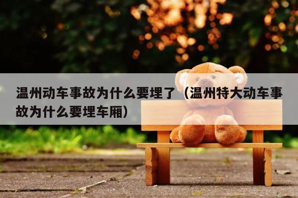 温州动车事故为什么要埋了（温州特大动车事故为什么要埋车厢） 第1张