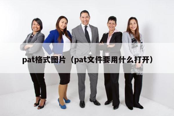pat格式图片（pat文件要用什么打开） 第1张