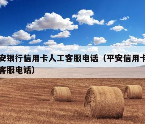 平安银行信用卡人工客服电话（平安信用卡中心客服电话） 第1张