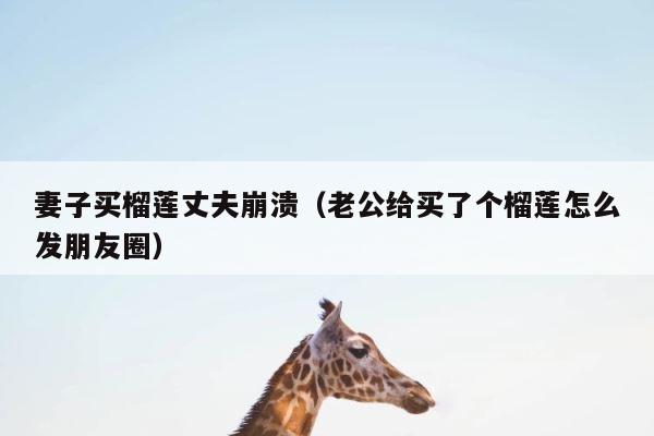 妻子买榴莲丈夫崩溃（老公给买了个榴莲怎么发朋友圈） 第1张