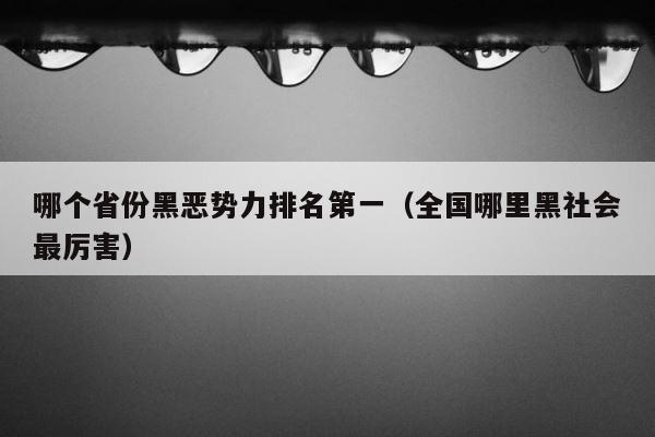 哪个省份黑恶势力排名第一（全国哪里黑社会最厉害） 第1张