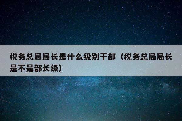 税务总局局长是什么级别干部（税务总局局长是不是部长级） 第1张