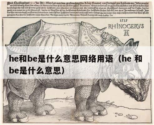 he和be是什么意思网络用语（he 和 be是什么意思） 第1张